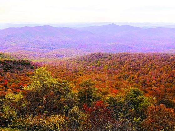 Fall color is a popular reason to tour the Blue Ridge.