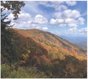 Numerous pullouts along the Blue Ridge Parkway make it easy to enjoy the vibrant fall colors.