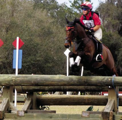 The heavy logs on the cross country course are more formidable barriers than the bars in show jumping. You may be able to see the blue cables that now hold logs balanced in place instead of bolted on as in the past.