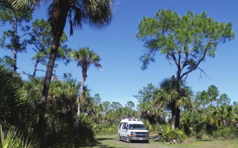 Tucked back in the trees at Bear Island, we enjoyed the quiet seclusion far from the madding crowd.