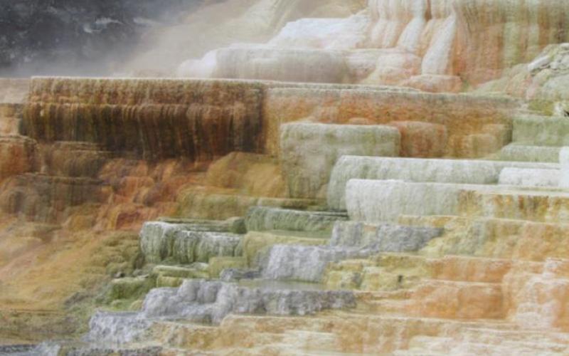 There are worse things than being forced to camp at Mammoth Hot Springs because all the reservable sites are taken.