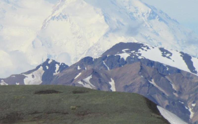 We had the luxury of waiting three days for a clear day to visit Mt. Denali. It is wrapped in clouds about 70% of the time.