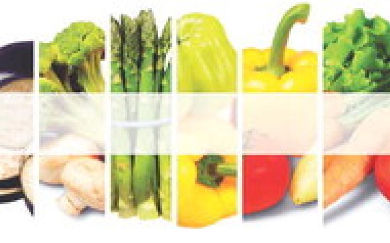 Alt Text for Image