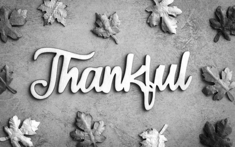 HAPPY THANKSGIVING!