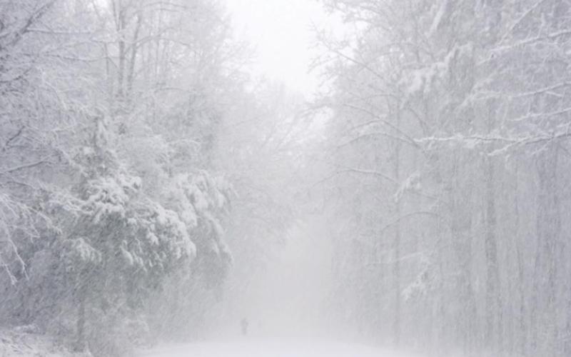Lessons from the Great Blizzard of ’78