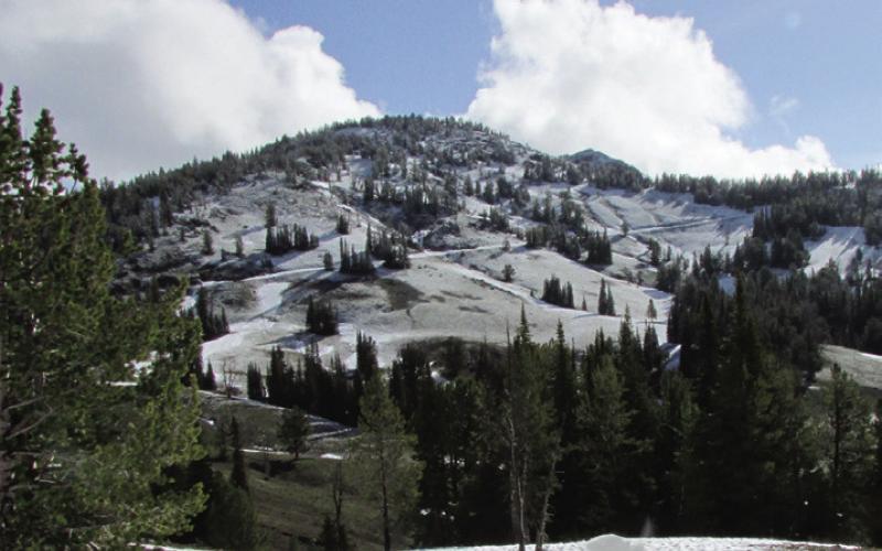 It can snow in Yellowstone any day of the year. Take warm clothes even in summer.