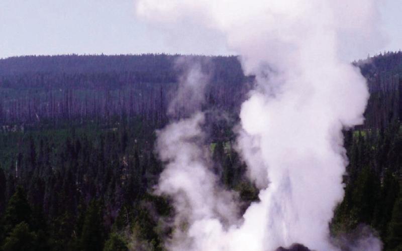 You could join the crowd for an eruption of Old Faithful, or you could have a cup of bearberry ice cream on the upper deck of the Inn.