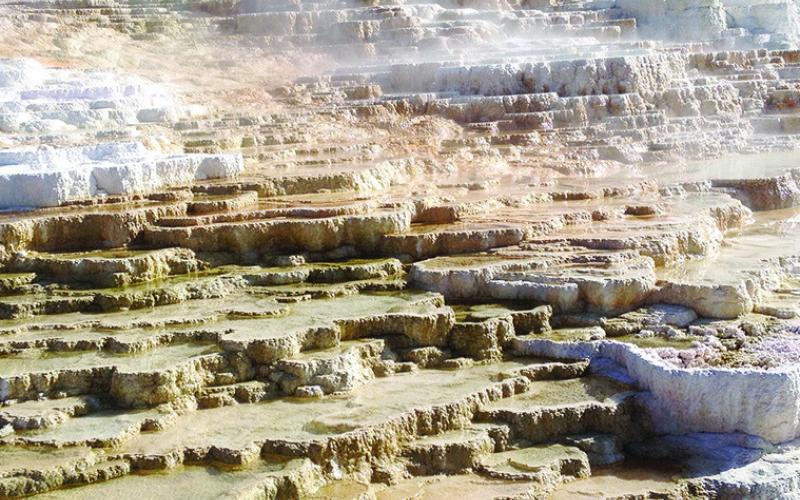 Mineral-rich waters form natural terraces at Mammoth Hot Springs.