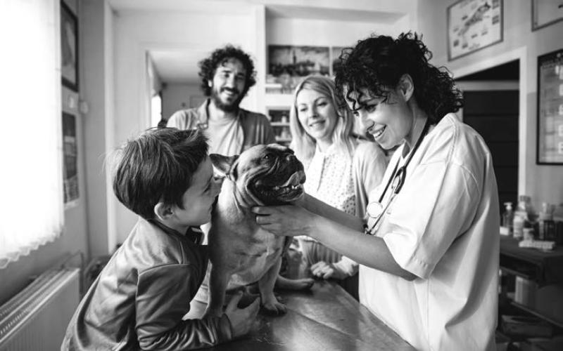 Lyme disease prevention