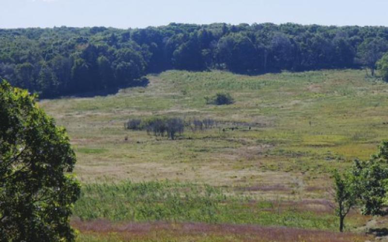 The Big Meadow, as seen from the visitor center, was probably created hundreds of years ago by Indian fires deliberately set to keep the space open for better hunting.