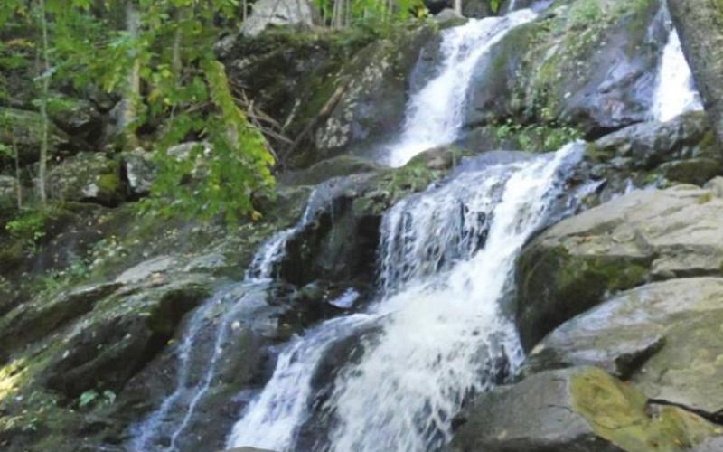 Dark Hollow Falls has been one of our favorite hikes since the ‘70s. It is still a walk in the park though not as easy as it used to be. We think the Park Service has made the trail steeper than it used to be.