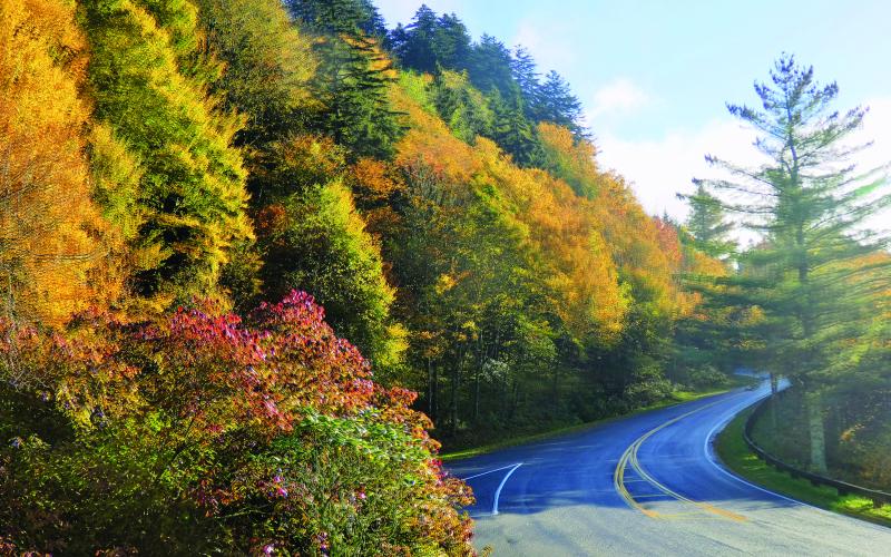 Fall is a wonderful time to tour the Smokies and the Blue Ridge. Spring ain’t so bad either.