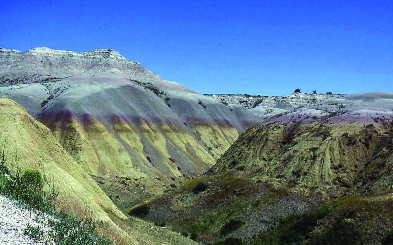 At Badlands, layers of sedimentary rock in various colors contain huge numbers of fossils. A trail leads past a slope where many are exposed.