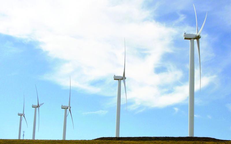 Wind farms along the top of the bluffs take advantage of the way prevailing  westerlies are compressed and funneled up the Gorge.