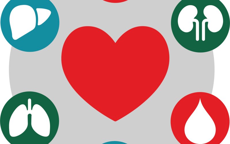 Organ donation