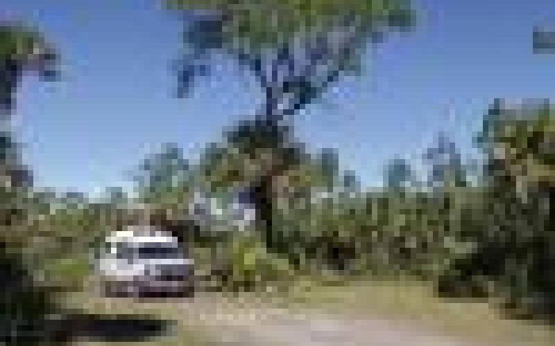 In Florida’s Big Cypress Preserve, the Bear Island campground with no facilities is reached via 24 miles of gravel road. Spent one week last winter. Two weeks this winter.