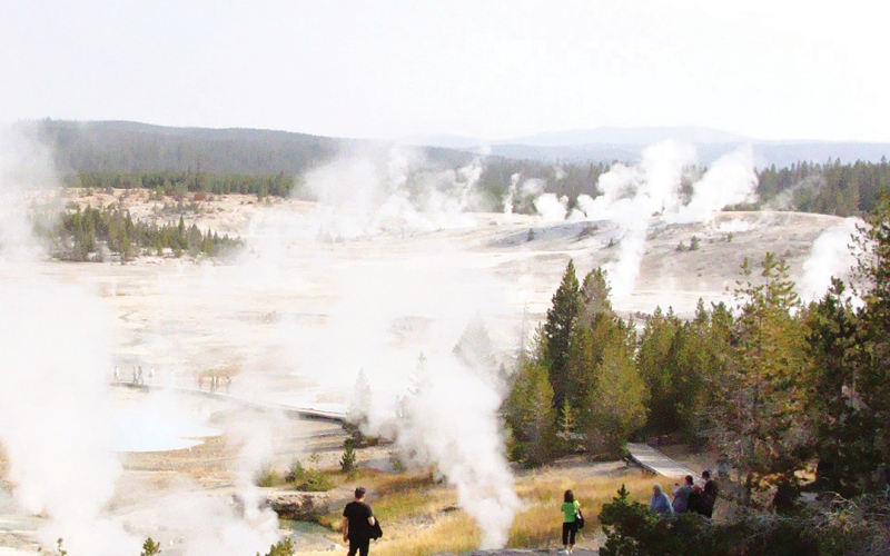 Norris Geyser Basin has numerous features worth your attention but not worth risking your life by getting off the boardwalk for a close look.