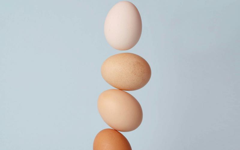Eggs a good source of protein