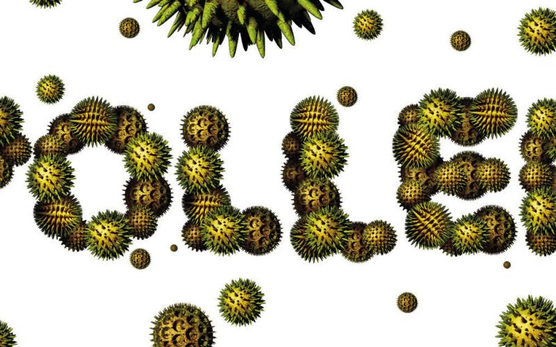 Alt Text for Image