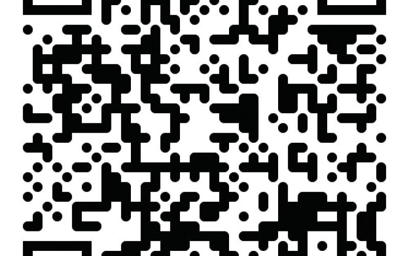 Alt Text for Image