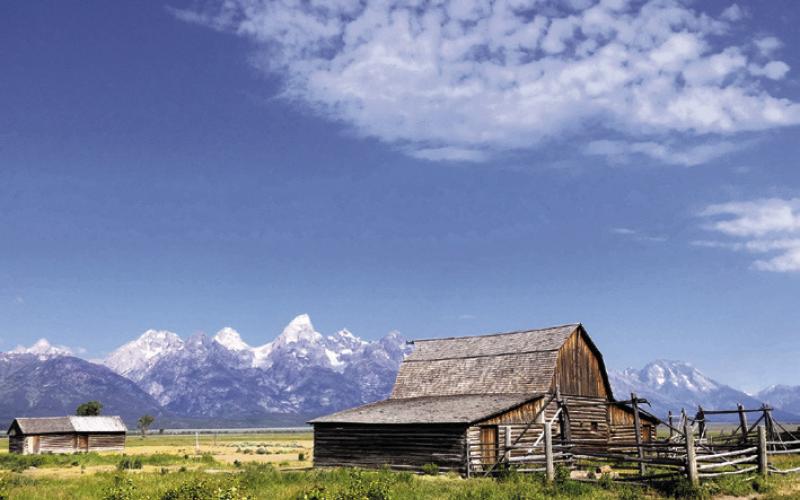 For some reason, tourists seem to think the old barns in Mormon Row are photogenic.