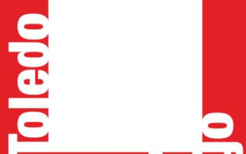 Alt Text for Image