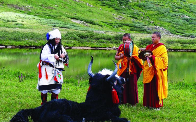 We came across these Asian gentlemen all by themselves in a high mountain meadow.