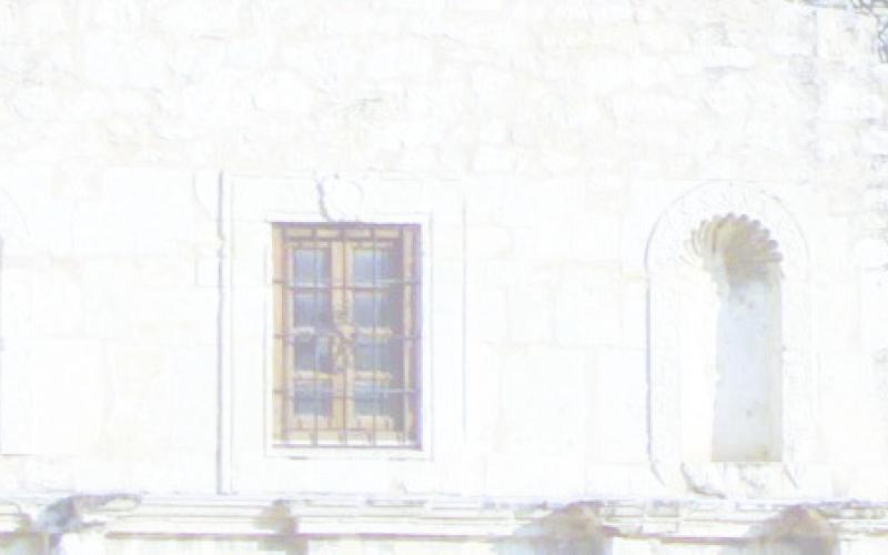 Alt Text for Image