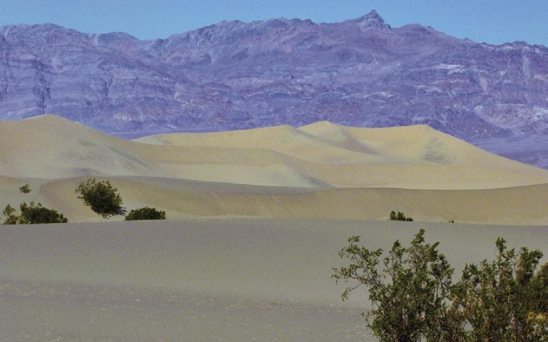 The sand dunes are about 150 feet high and constantly shifting in the swirling winds.