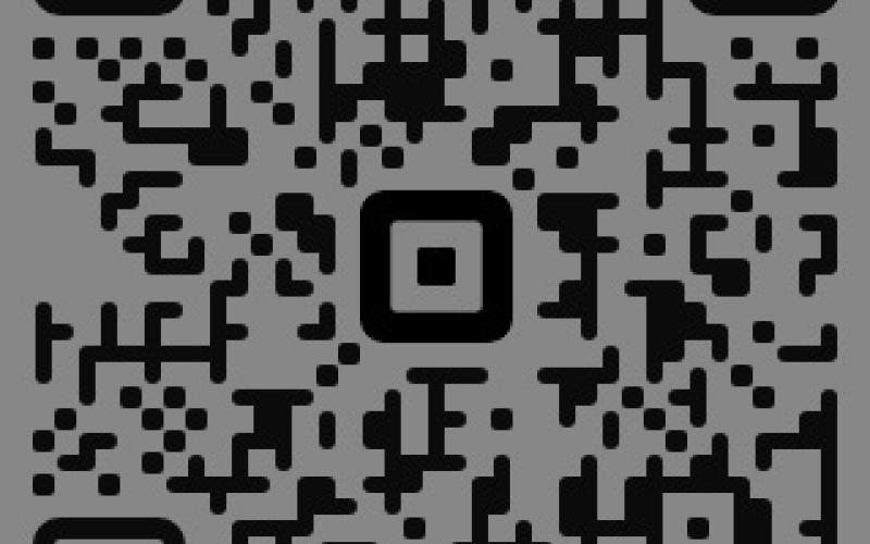 Alt Text for Image