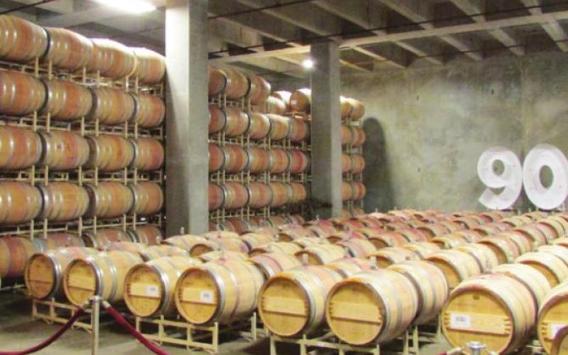 Columbia Crest has an unbelievable 21 acres of cellars in which to age their wine. The “90” on the wall is their way of bragging that they have more wines rated 90 or above than anyone else.