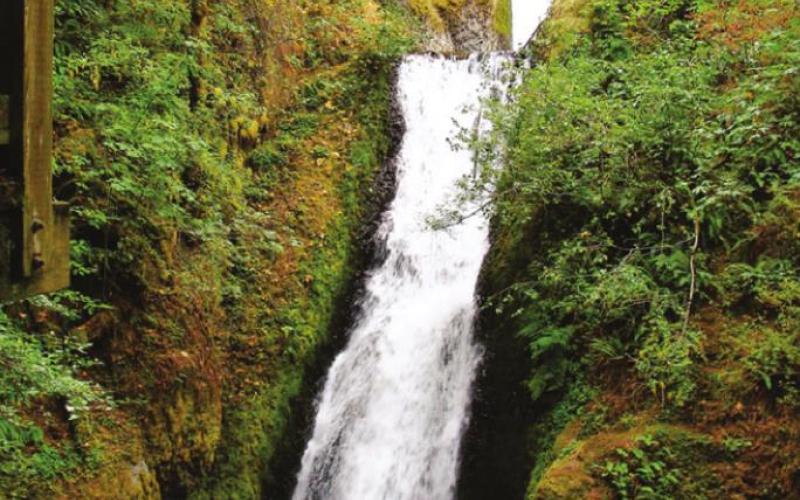 This Bridal Veil is one of the prettier of the 2,173 by the name in the U.S. Landmarks are often named by people who are inclined to rely on cliches. But a rose by any other name....