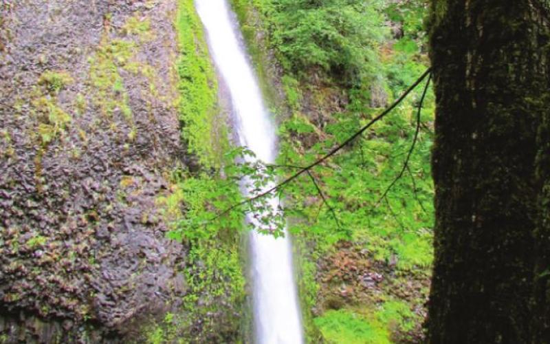 Horsetail Falls is a big favorite of those averse to hiking because it is just a few feet from the highway.