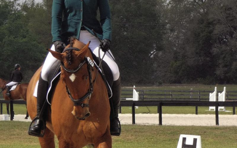 Caitlyn and Lucy in the dressage ring. Note the letter that indicates where the next movement is supposed to begin.