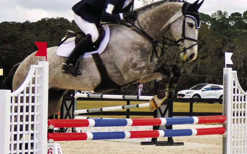 A simple rail fence is the least complex obstacle in show jumping.