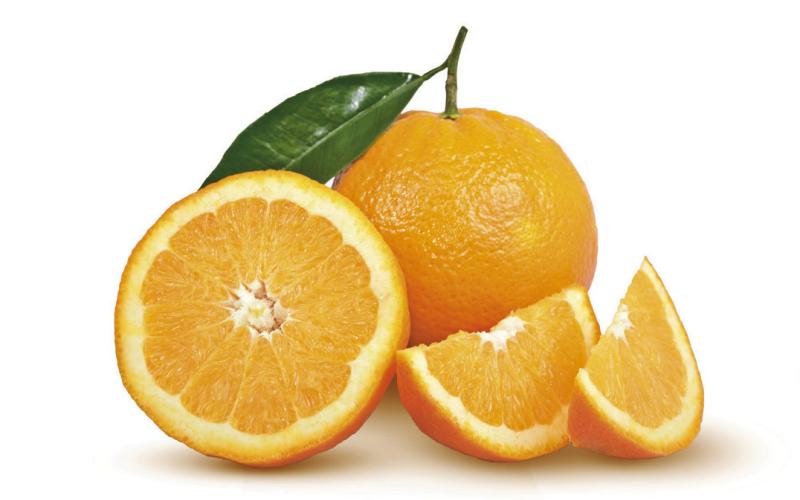 Alt Text for Image