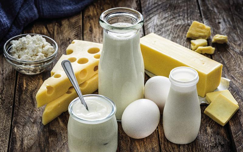 Dairy Foods