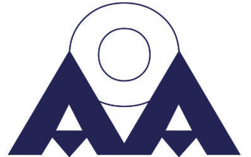 Alt Text for Image
