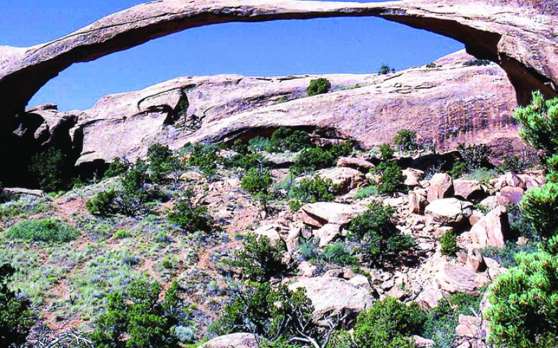 Landscape Arch looks far more delicate than Delicate Arch— especially when you are standing directly beneath it.