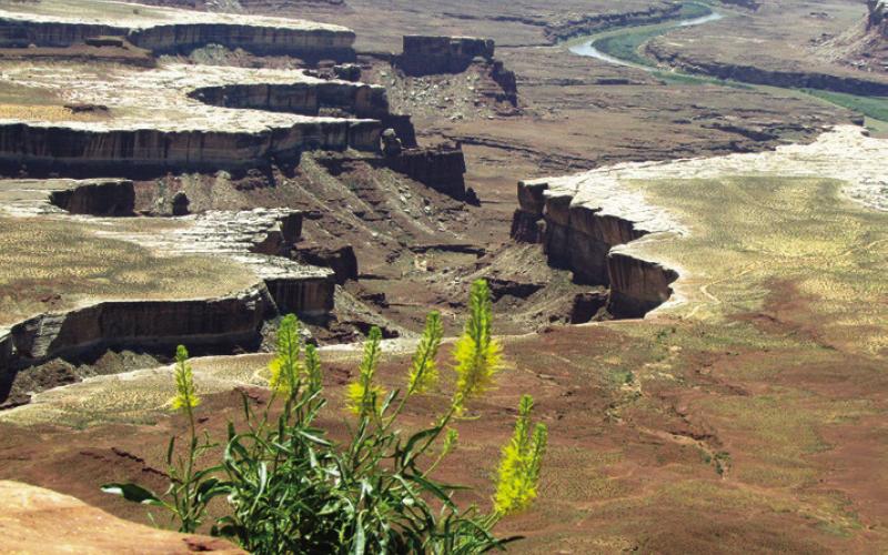 Canyonlands National Park is immense and desolate but easy to reach right across the road from Arches NP.