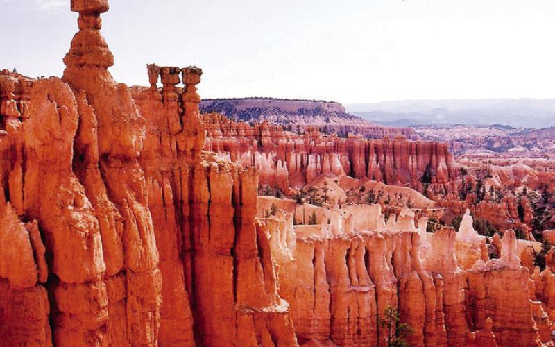 The Creamsicle colored rocks in Bryce were eroded not by water but by wind and the freeze-thaw cycle. This is Thor’s Hammer.