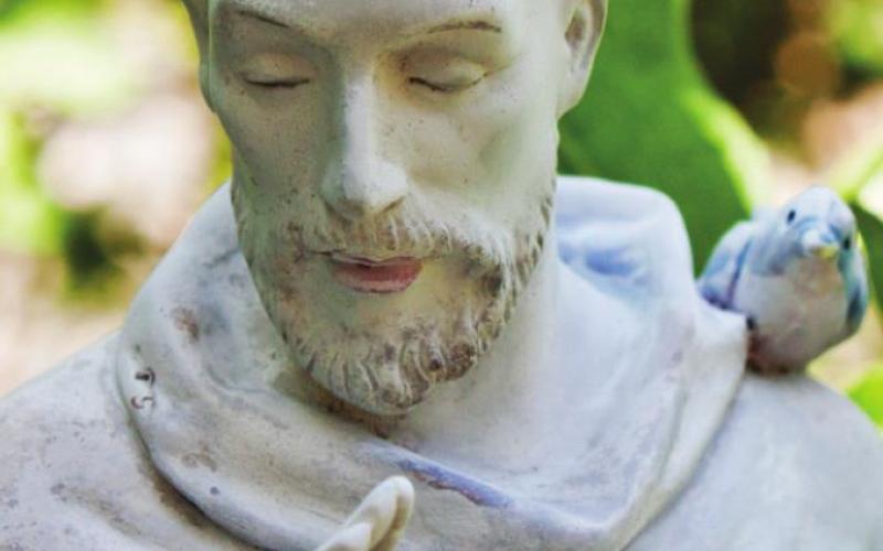 St. Francis of Assisi
