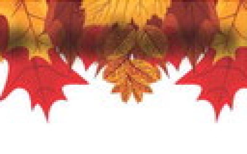 Alt Text for Image