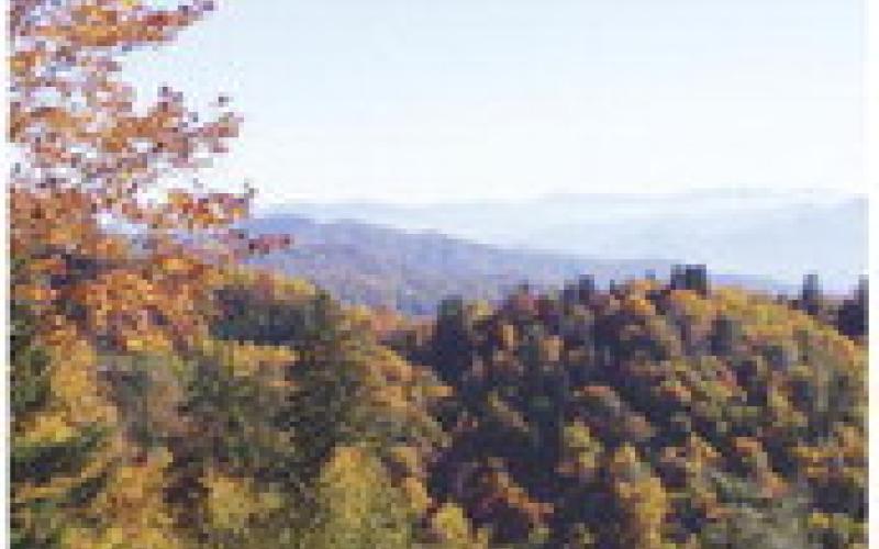 Colors are particularly vivid on clear days, but you should be prepared for fog in the valleys or to be lost in the clouds at higher elevations. A short drive down the road may get you back into the sunshine.