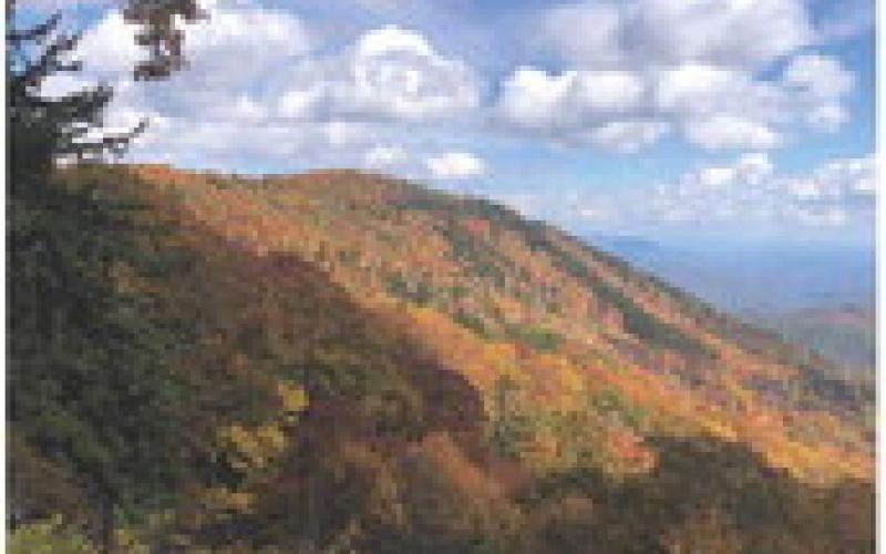 Numerous pullouts along the Blue Ridge Parkway make it easy to enjoy the vibrant fall colors.
