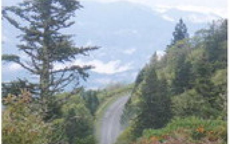 At upper elevations, the color of maples, oaks, and hickories is set against a backdrop of fir and spruce.