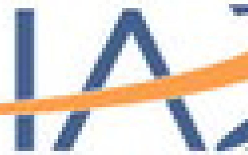 Alt Text for Image