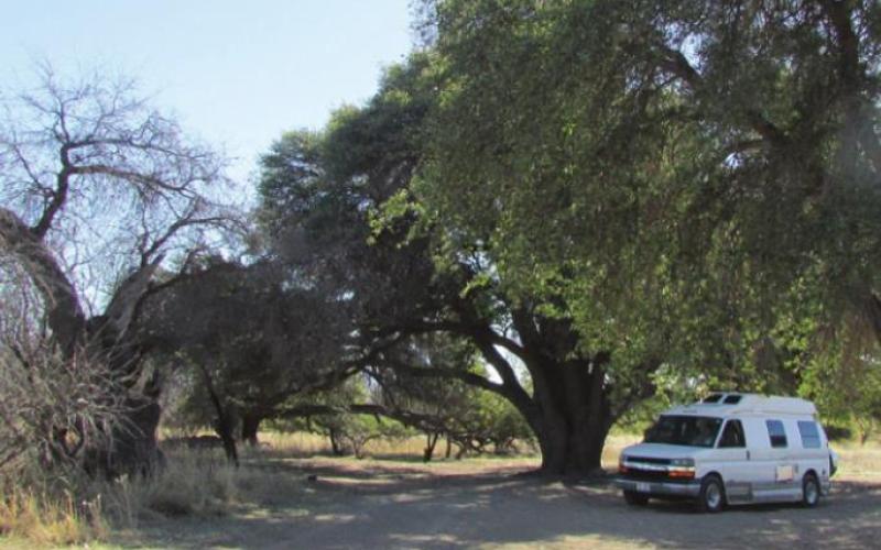 Not everyone is comfortable being alone out in the middle of nowhere. That’s why luxury RV resorts were invented. Have it the way you like it.