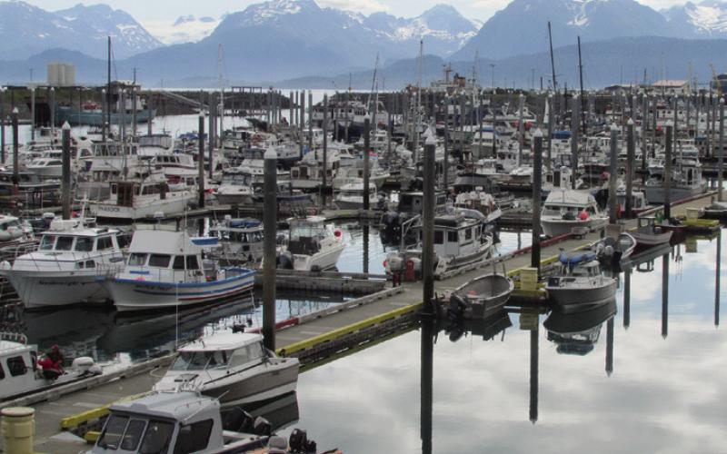 At Homer, there are more boats in the marina than people in the town. Many places, even the state capitol, are accessible only by boat or plane.
