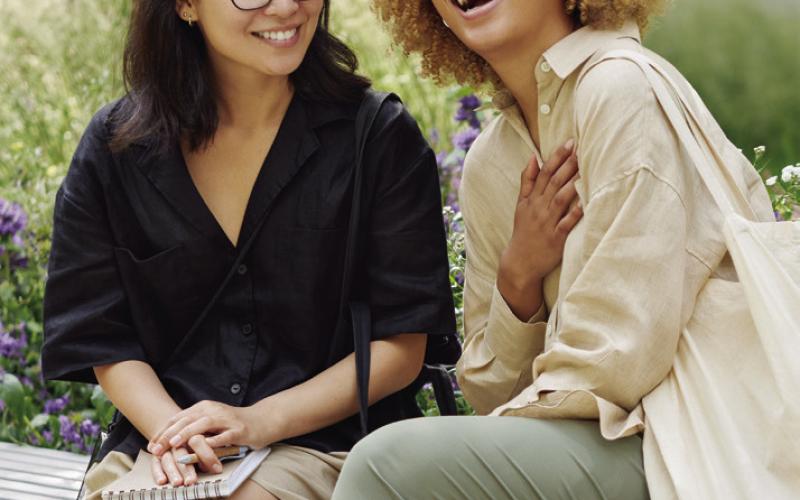 Alt Text for Image